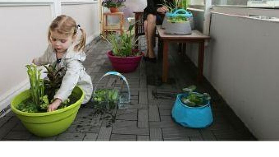 Vijver zonder tuin