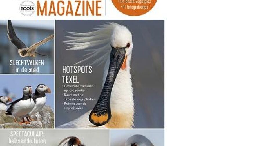 Nieuw tijdschrift Vogelmagazine voor de beginnende vogelaar