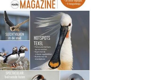 Nieuw tijdschrift Vogelmagazine voor de beginnende vogelaar
