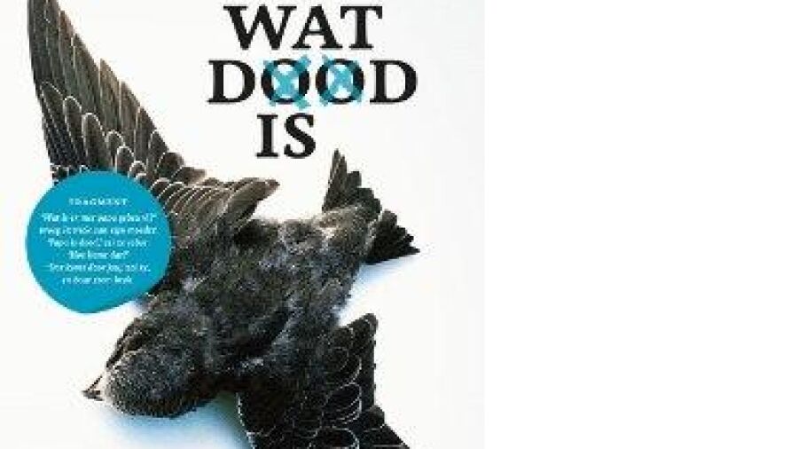 Belinda Bauer tilt psychologische thriller naar een nieuw niveau