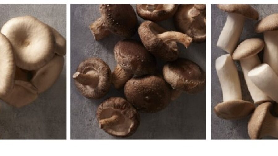 Paddenstoelen lekker duurzaam
