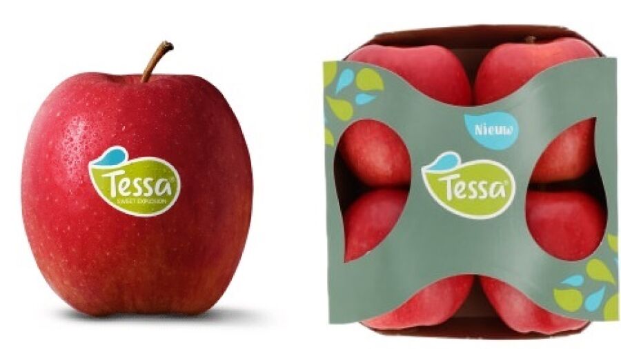 Nieuwe volzoete appel van Nederlandse bodem nu verkrijgbaar in supermarkt