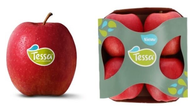 Nieuwe volzoete appel van Nederlandse bodem nu verkrijgbaar in supermarkt