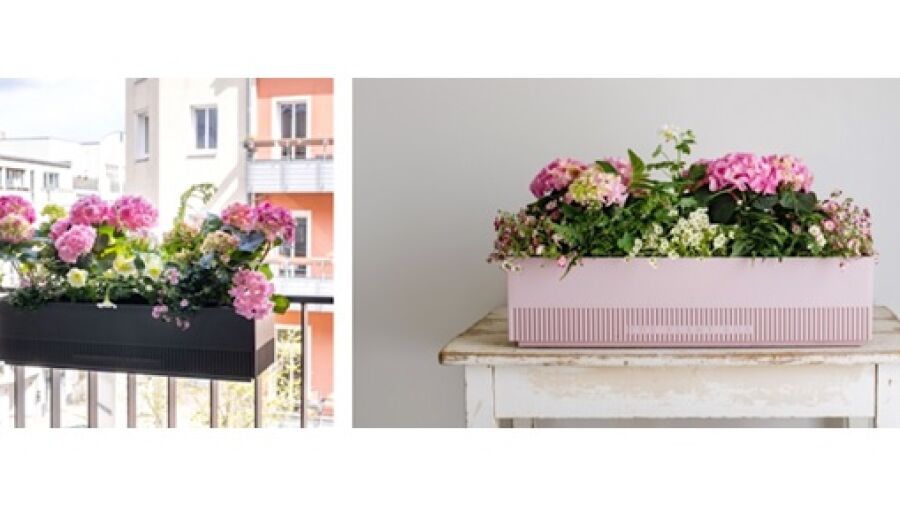 Een jaar lang bloemen voor moeder