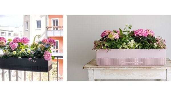 Een jaar lang bloemen voor moeder