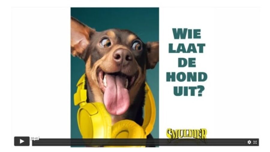 Nieuw voor hondenliefhebbers: podcast ‘Wie laat de hond uit?’