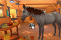 Word een prof in paardrijden met ‘Alles over Paardrijden’, nu beschikbaar!